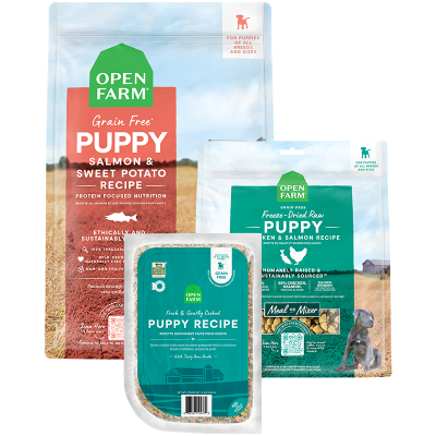 Shop all dog food