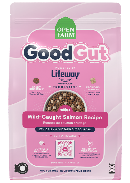 RawMix Grain-Free kibble