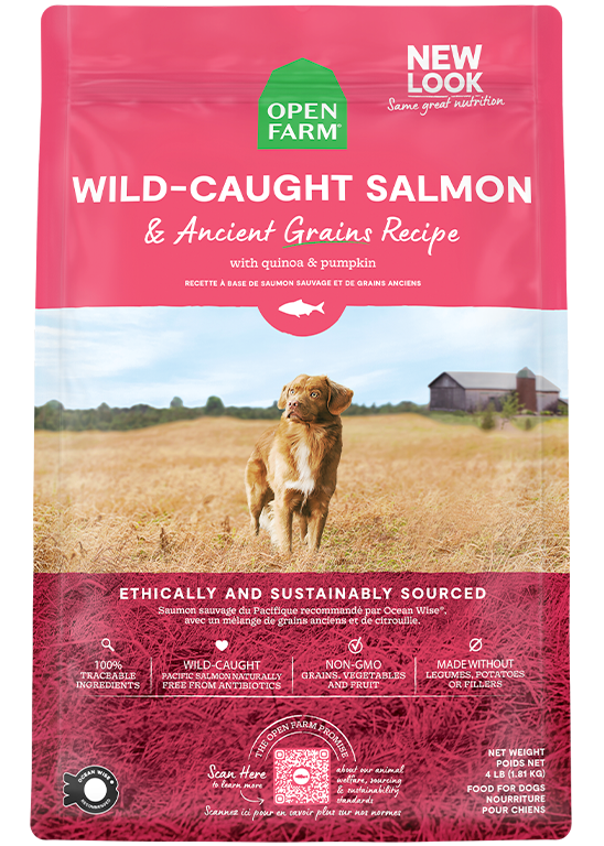 Wild-Caught Salmon kibble