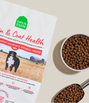 RawMix grain-free category