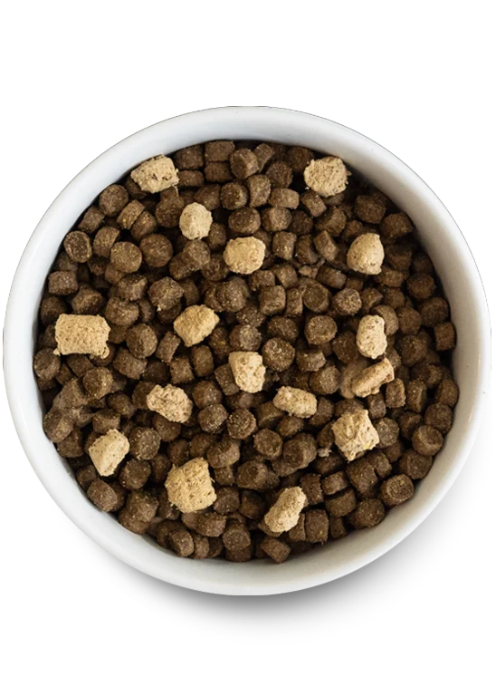 Zestaw RawMix Plus dla psów z bulionem kostnym i przysmakami wołowymi