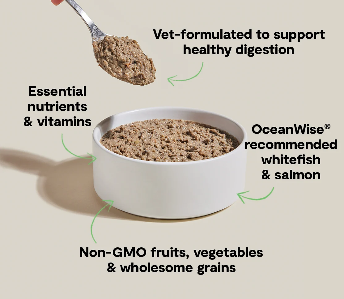 Whitefish & Pollock Digestive Health Pâté for Dogs