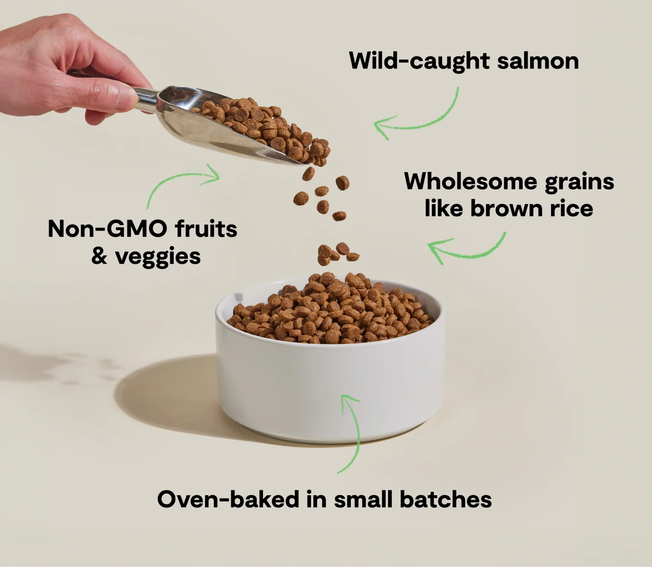 Goodbowl Wild-Caught Salmon and Brown Rice Dog Kibble for Puppies and Adult Dogs