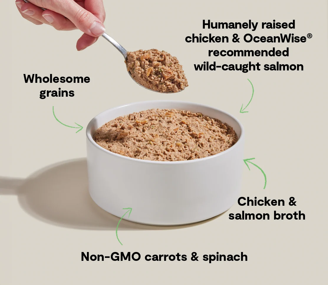 Goodbowl™ Harvest Kylling og Laks Paté Vådfoder til Hund og Madtopper