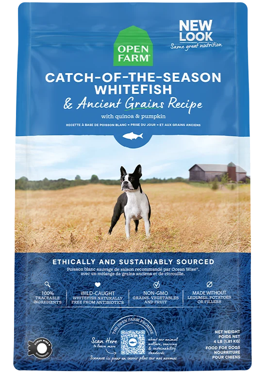 Whitefish & Ancient Grains Dry Dog Kibble for Skin and Coat Support