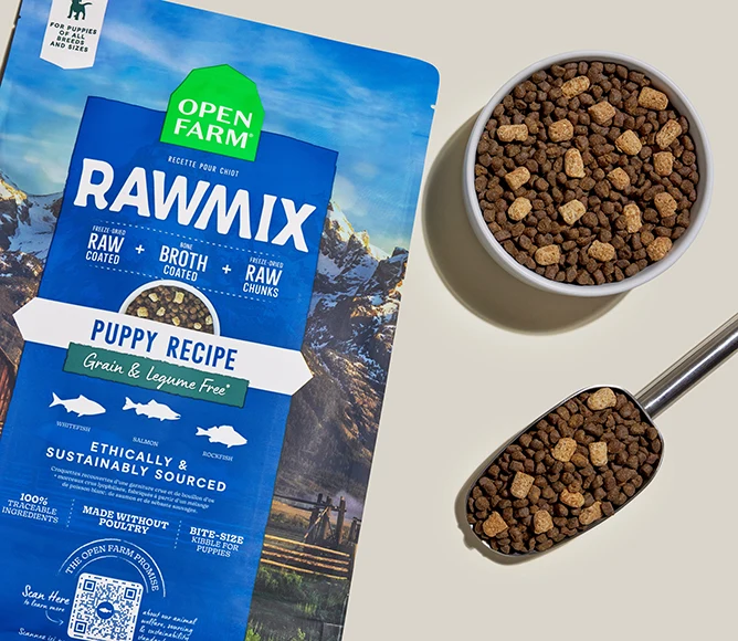 Bezzbożowa karma sucha RawMix dla szczeniąt z łososiem i rybą białą