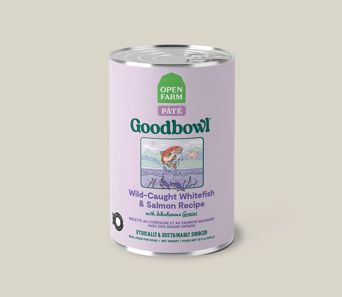 Pack varietà Goodbowl per cani: 12 lattine di ricette pâté