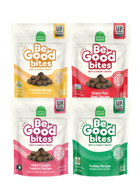 Be Good Bites – miękkie i ciągnące przysmaki dla psów, zestaw 4 smaków