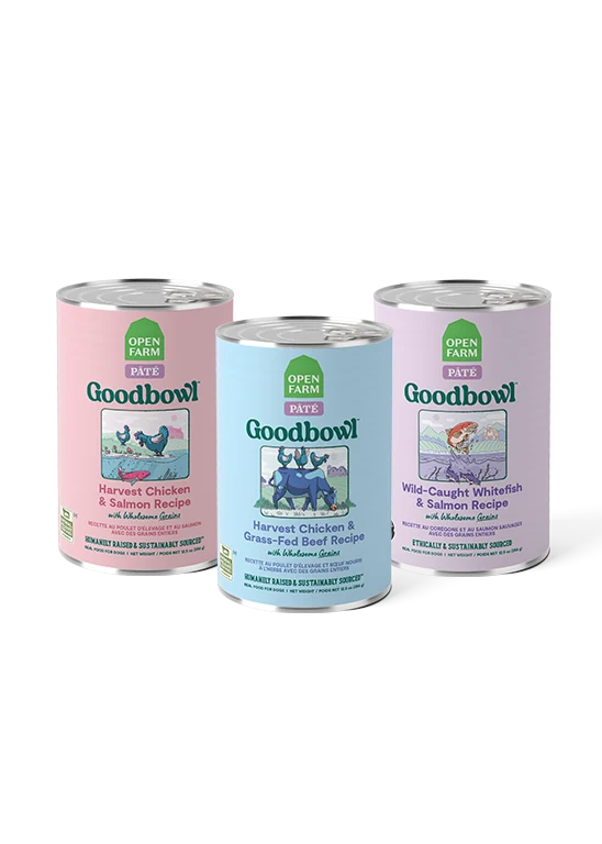 Pack varietà Goodbowl per cani: 12 lattine di ricette pâté