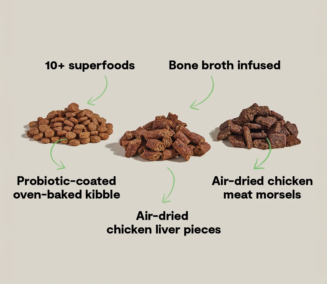 Epic Blend proteinreiches Trockenfutter für Hunde mit Huhn & Superfoods