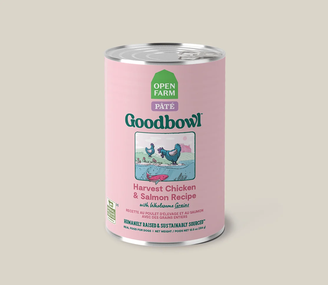 Pack varietà Goodbowl per cani: 12 lattine di ricette pâté
