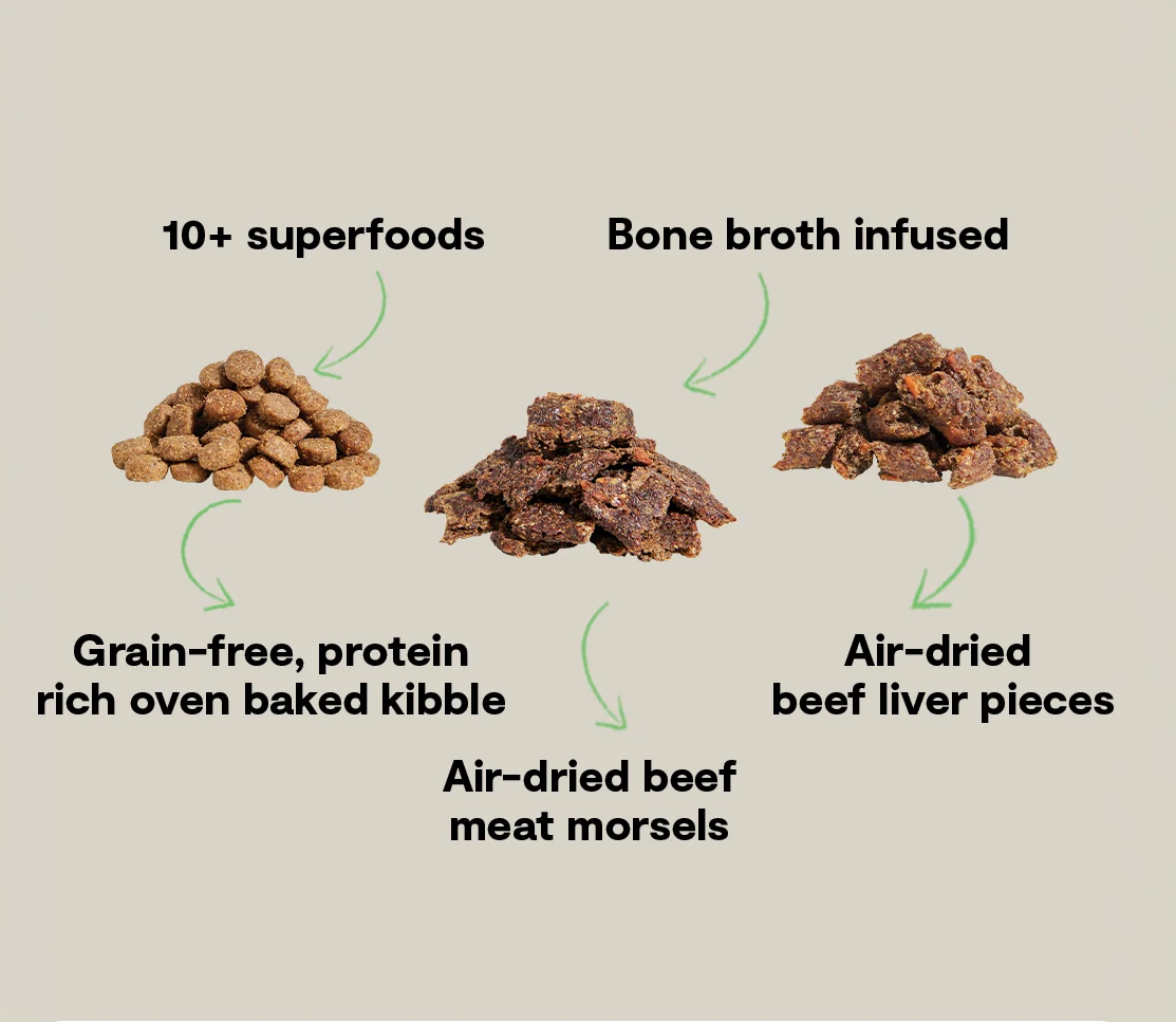 Epic Blend Rind und Superfood getreidefreies Hundefutter