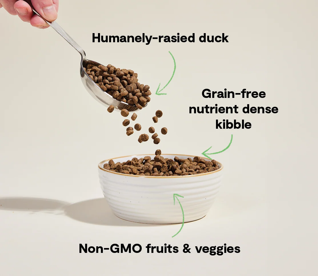 Farmstead And Kornfri Kattefoder med Ikke-GMO Frugt og Grøntsager
