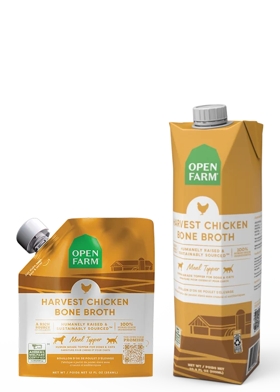 Harvest Chicken Bone Broth for Dogs with Pumpkin and Turmeric