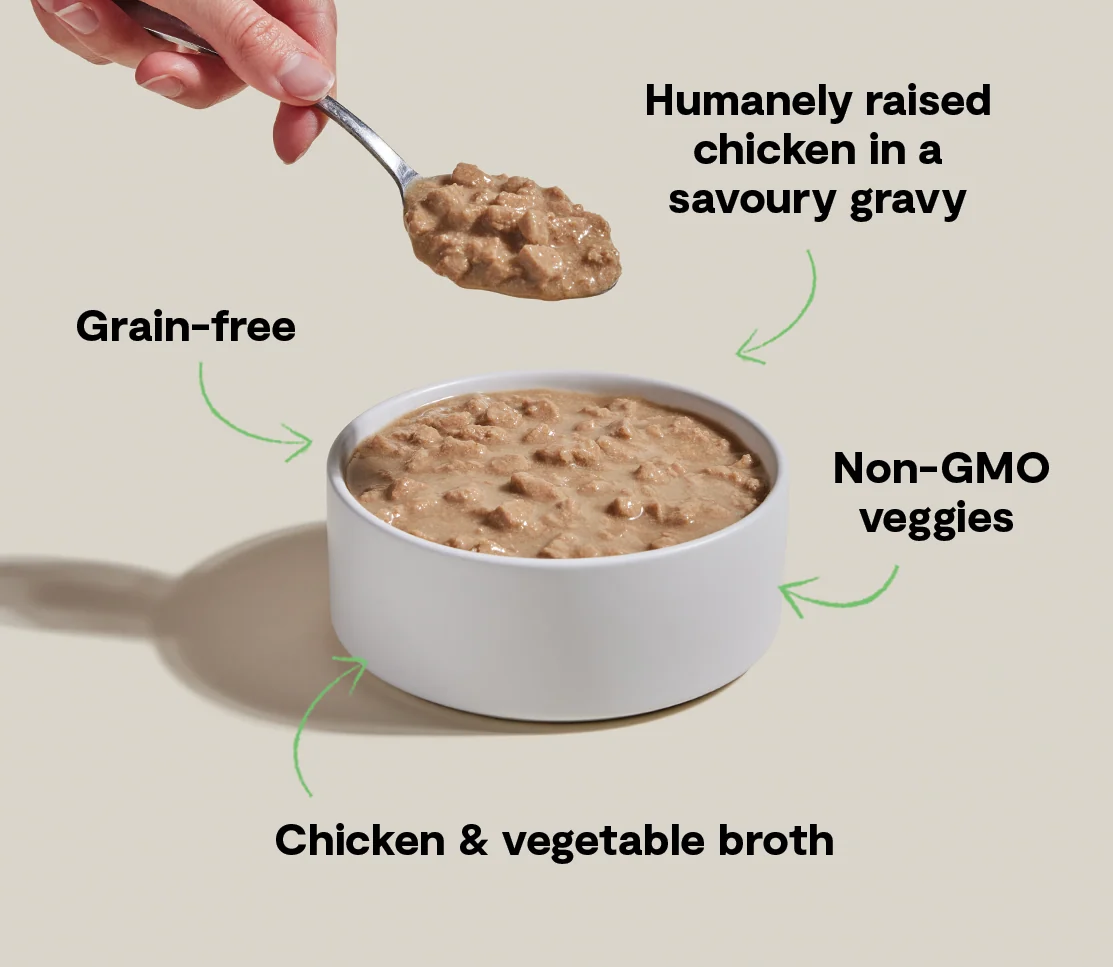 Soslu Harvest Tavuk Parçaları Islak Kedi Maması