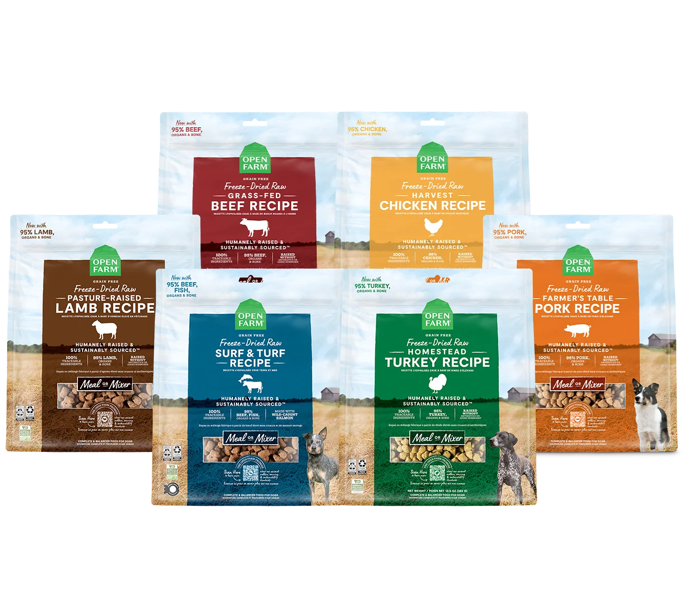 Frysetørret rå hundemad-varietætspakke med seks proteinopskrifter