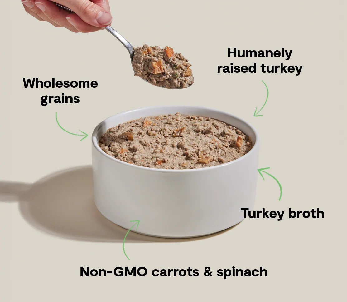 Goodbowl™ Homestead vådfoder til hund med kalkun og kalkunlever
