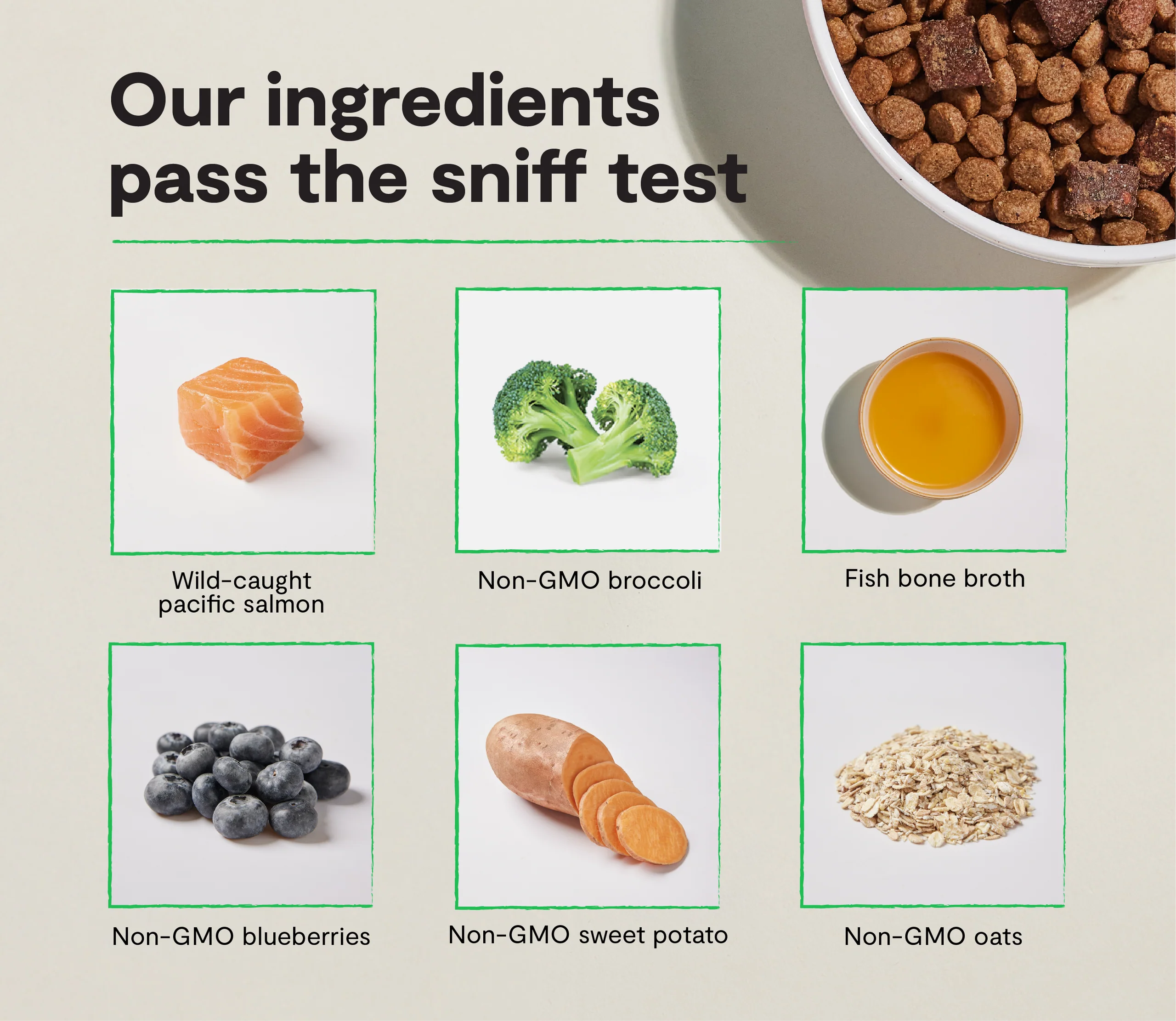 Epic Blend Lachs und Superfood Trockenfutter für Hunde mit Probiotika