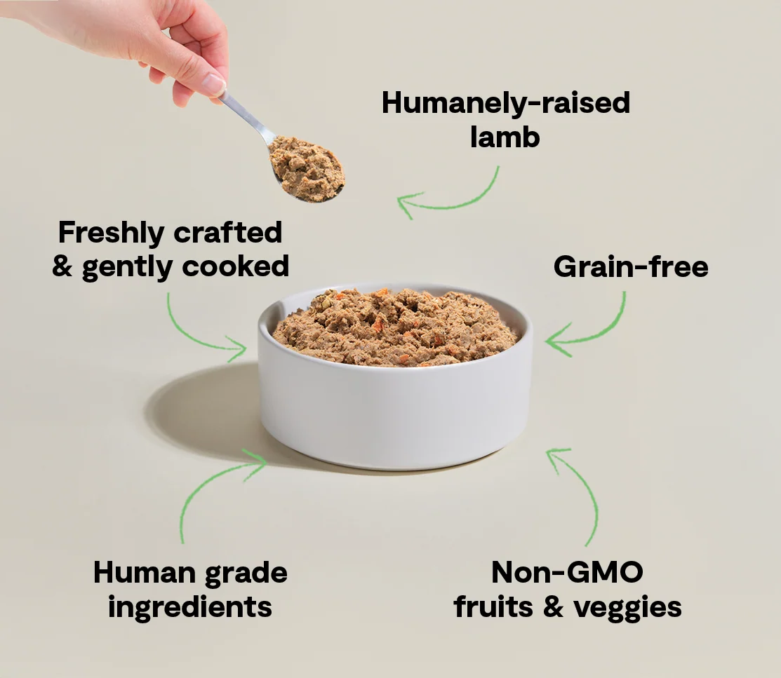 Frisk hundefoder med lam og lammellever fra fritgående lam