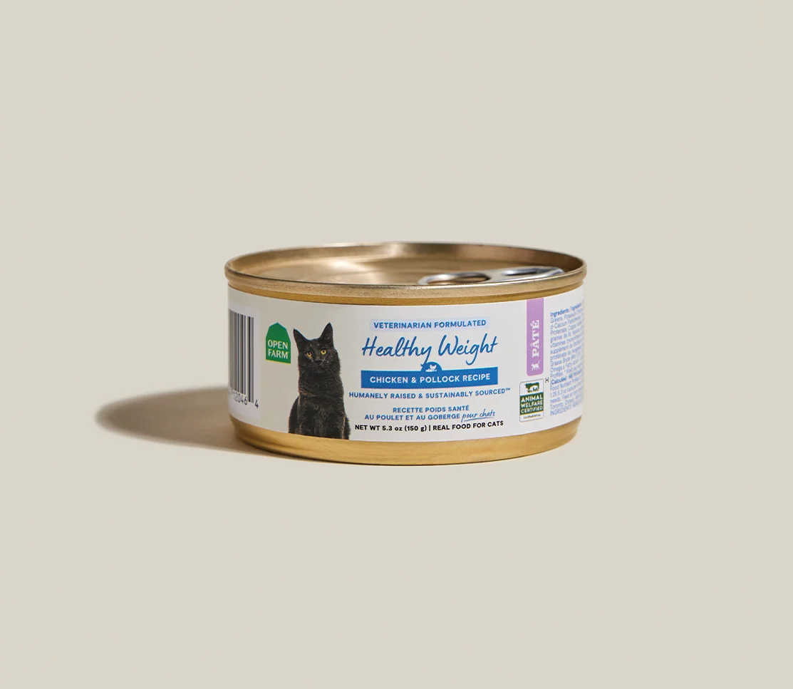 Tavuklu ve Pollocklu Sağlıklı Kilo Pâté Islak Kedi Maması