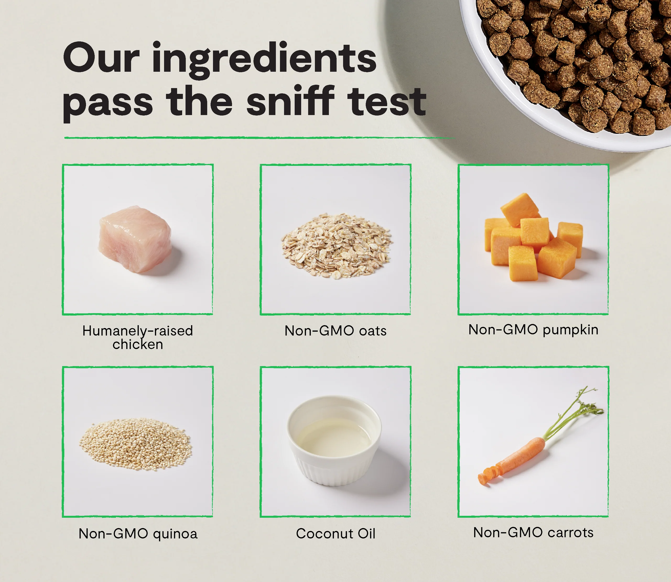 Harvest Chicken & Ancient Grains Dry Dog Kibble with Quinoa and Pumpkin