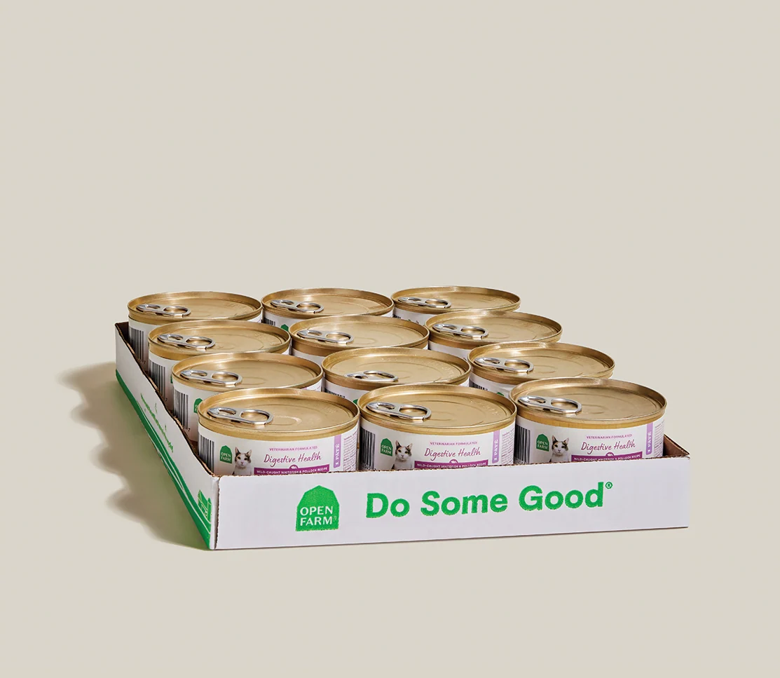 Beyaz Balıklı ve Pollocklu Sindirim Sağlığı Pâté Islak Kedi Maması