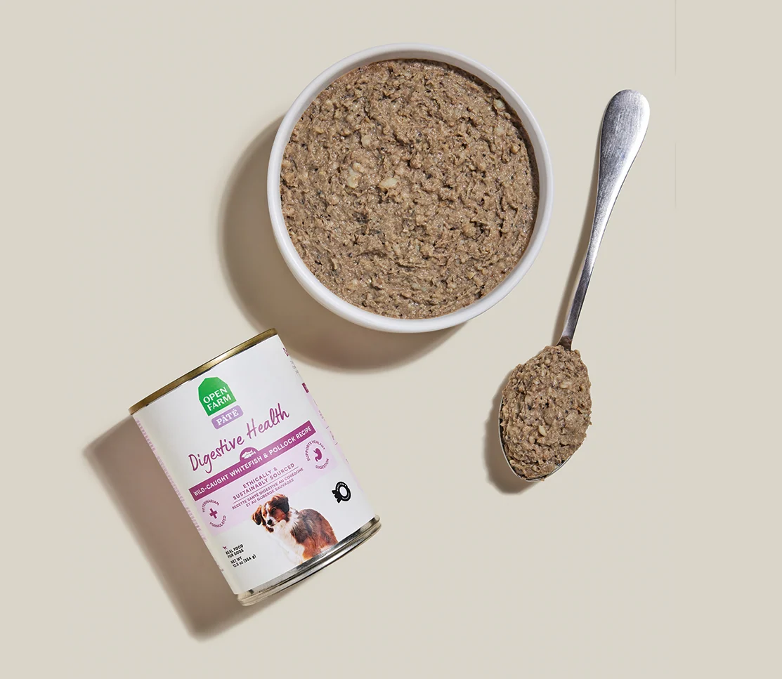 Whitefish & Pollock Digestive Health Pâté for Dogs