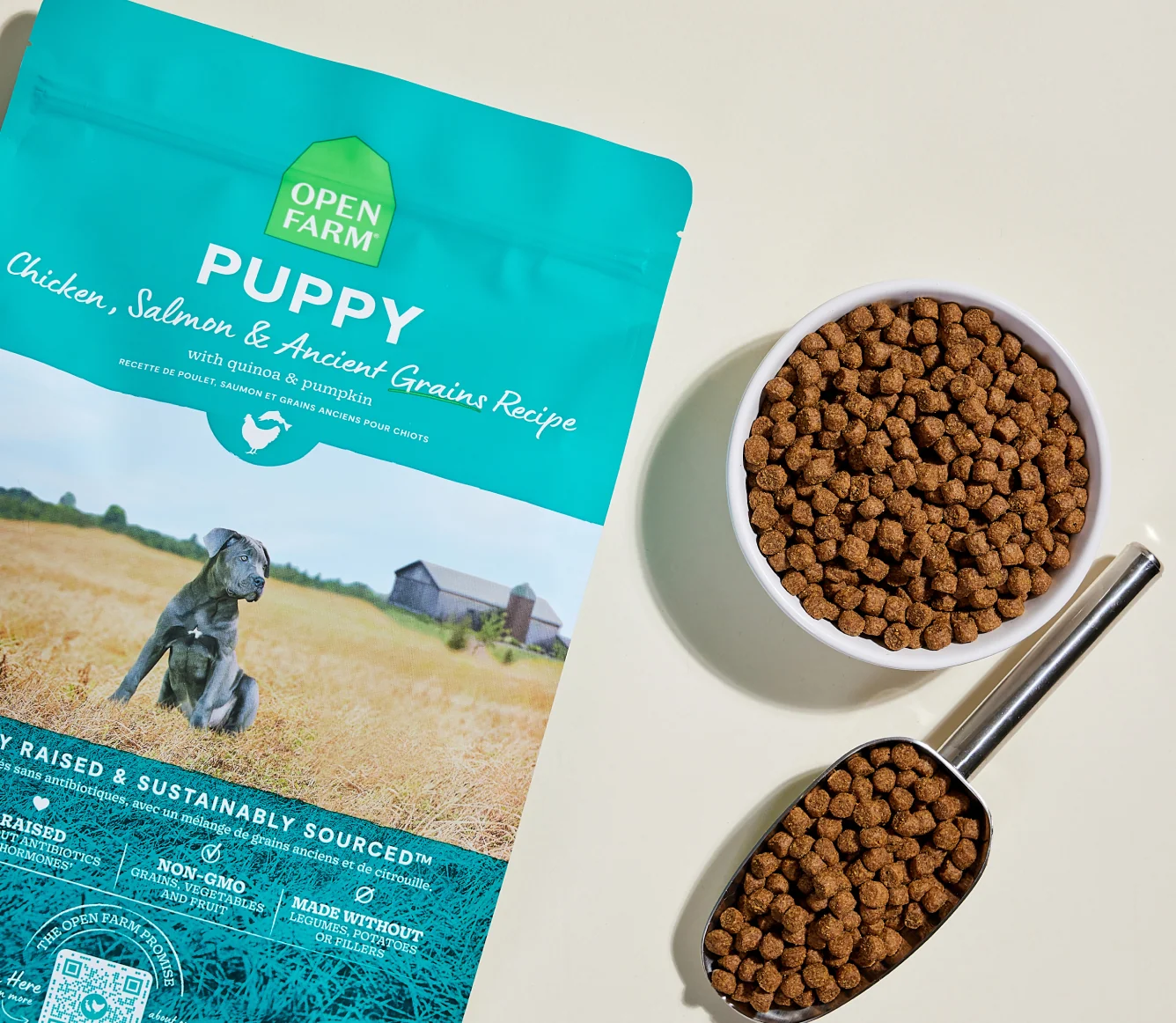 Chicken & Salmon Ancient Grains Kibble for Growing Puppies