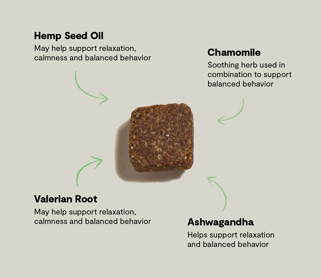 Beroligende tyggetabletter til hunde med ashwagandha og L-theanin