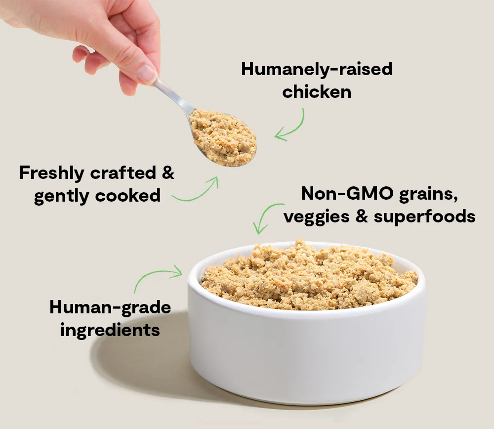 Recette fraîchement préparée Harvest Chicken Goodbowl pour chien