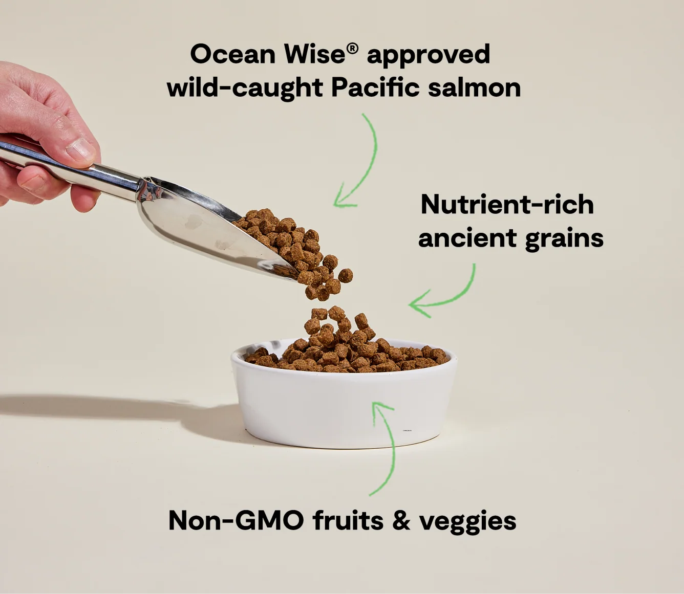 Vildfanget Laks og Ancient Grains Tørfoder til Hund