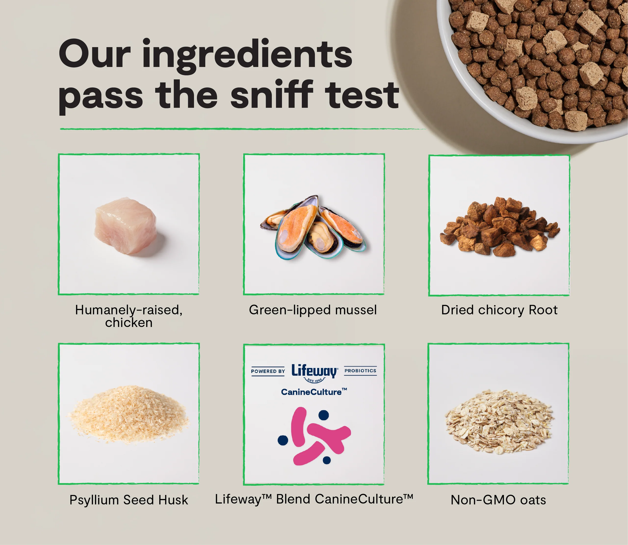 GoodGut Harvest Chicken Hundefutter mit Lifeway-Probiotika