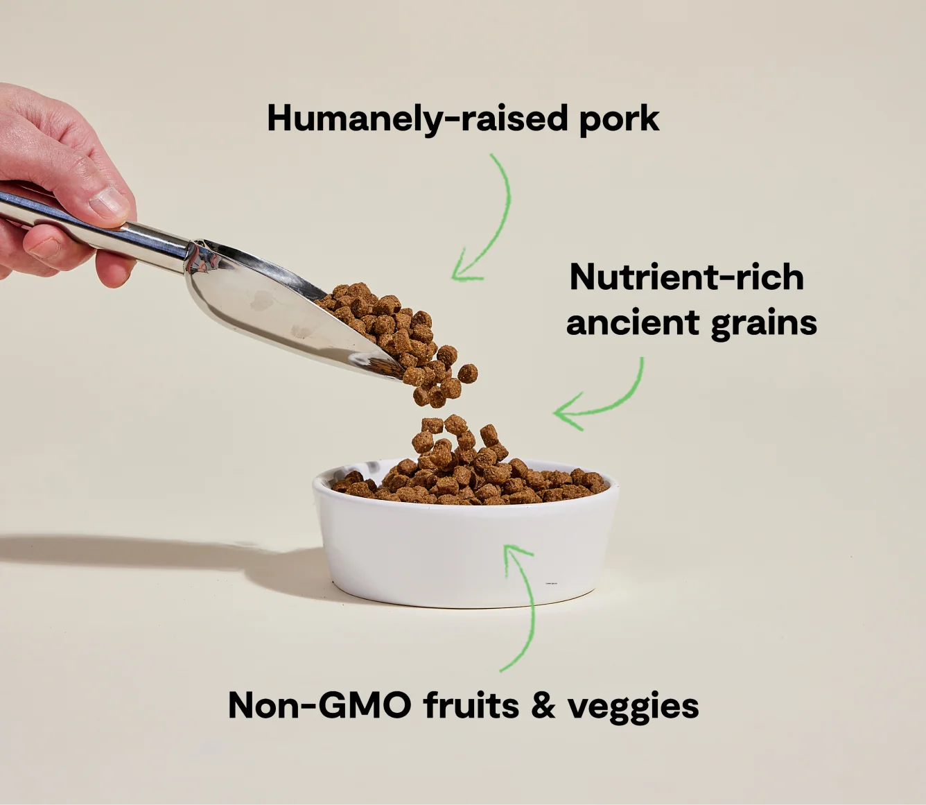 Farmer's Table Pork & Ancient Grains Dog Kibble for Puppies and Seniors