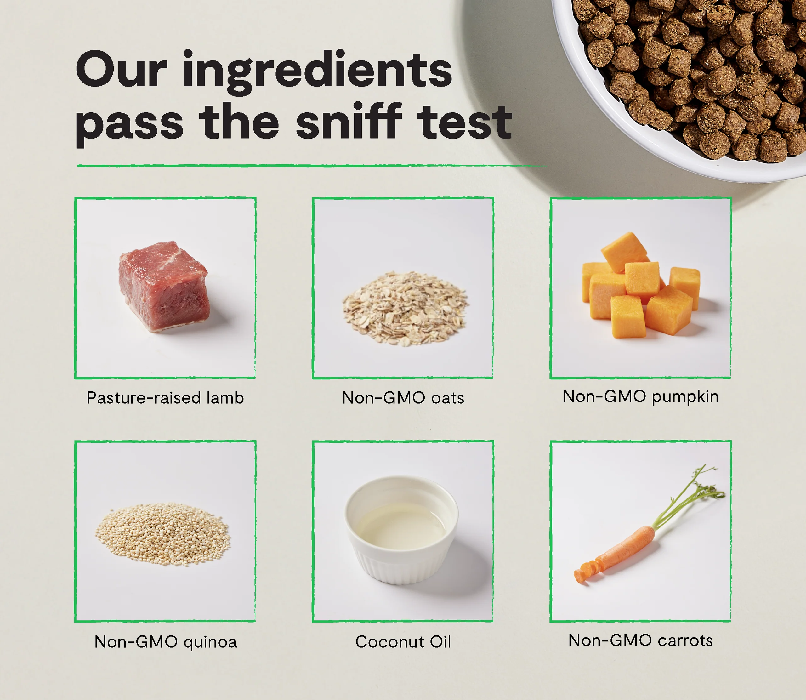 Pasture-Raised Lamb & Ancient Grains Dry Dog Kibble for Allergy-Prone Dogs