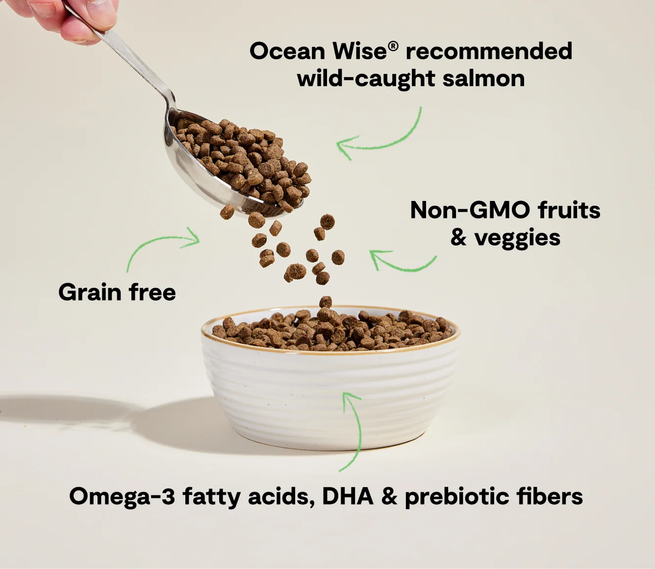 Wild-Caught Salmon Grain-Free Cat Kibble for Kittens and Seniors