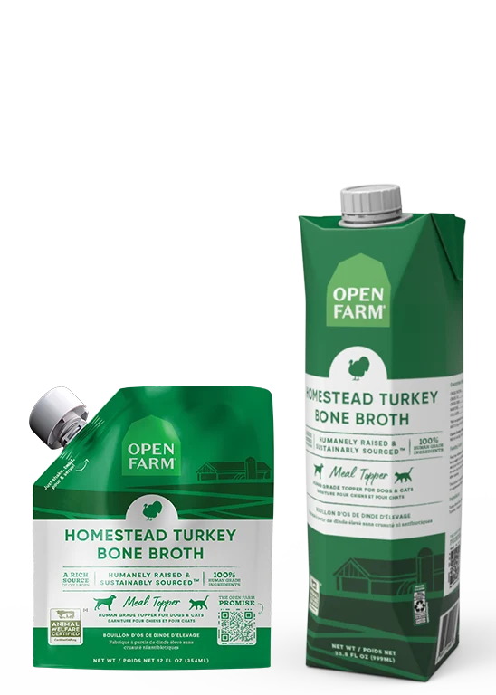 Homestead Turkey Bone Broth for Cats with Pumpkin and Turmeric