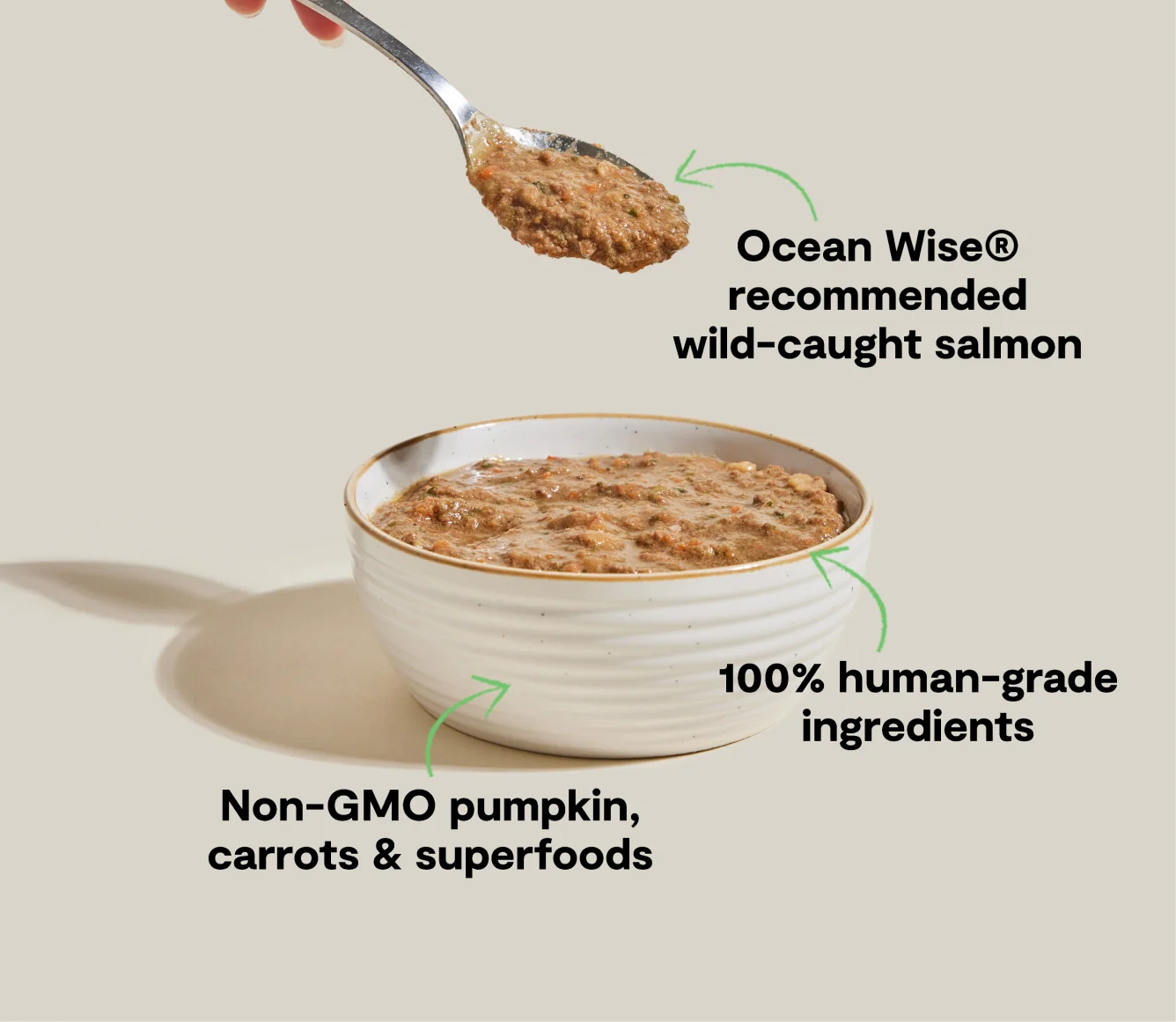 Wild-Caught Salmon Rustic Blend Wet Cat Food for Cats