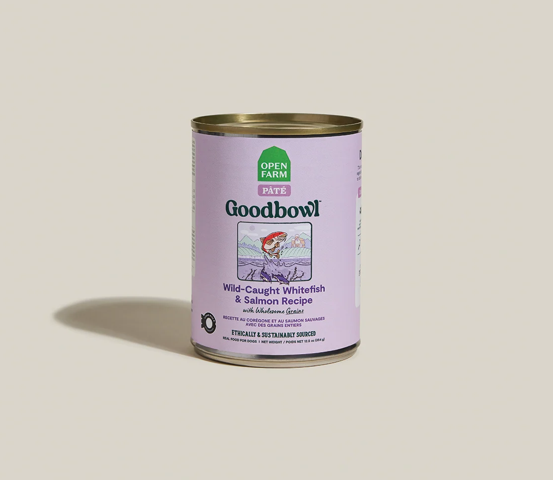 Goodbowl™ Wild-Caught Whitefish & Salmon Pâté Tahıllı Islak Köpek Maması