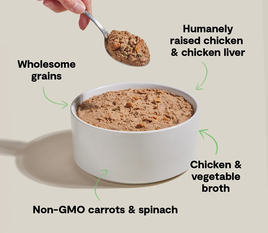 Goodbowl Harvest Chicken Paté til hunde