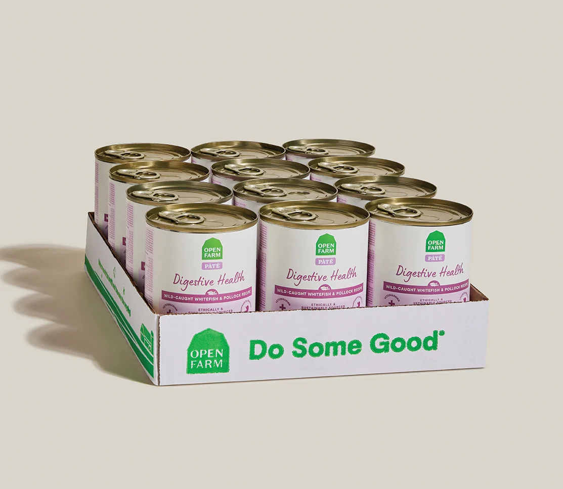 Whitefish & Pollock Digestive Health Pâté for Dogs