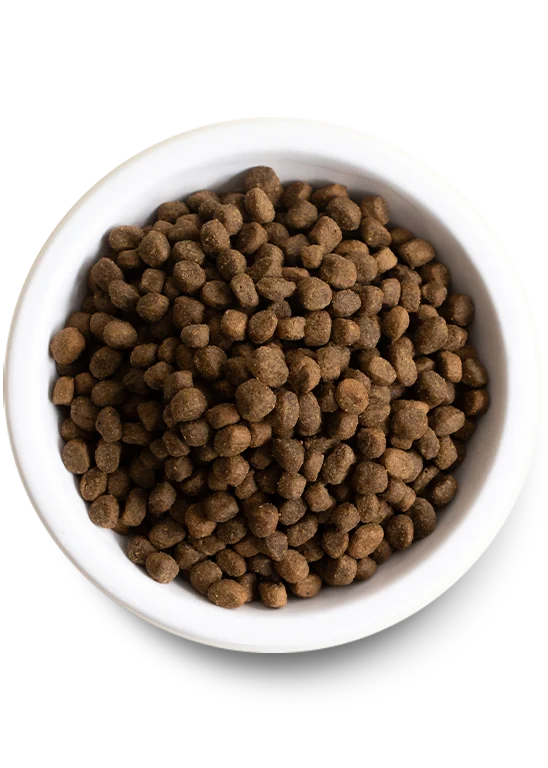 Bedst sælgende hundepakke med laks tørfoder, rå topping og benkraft