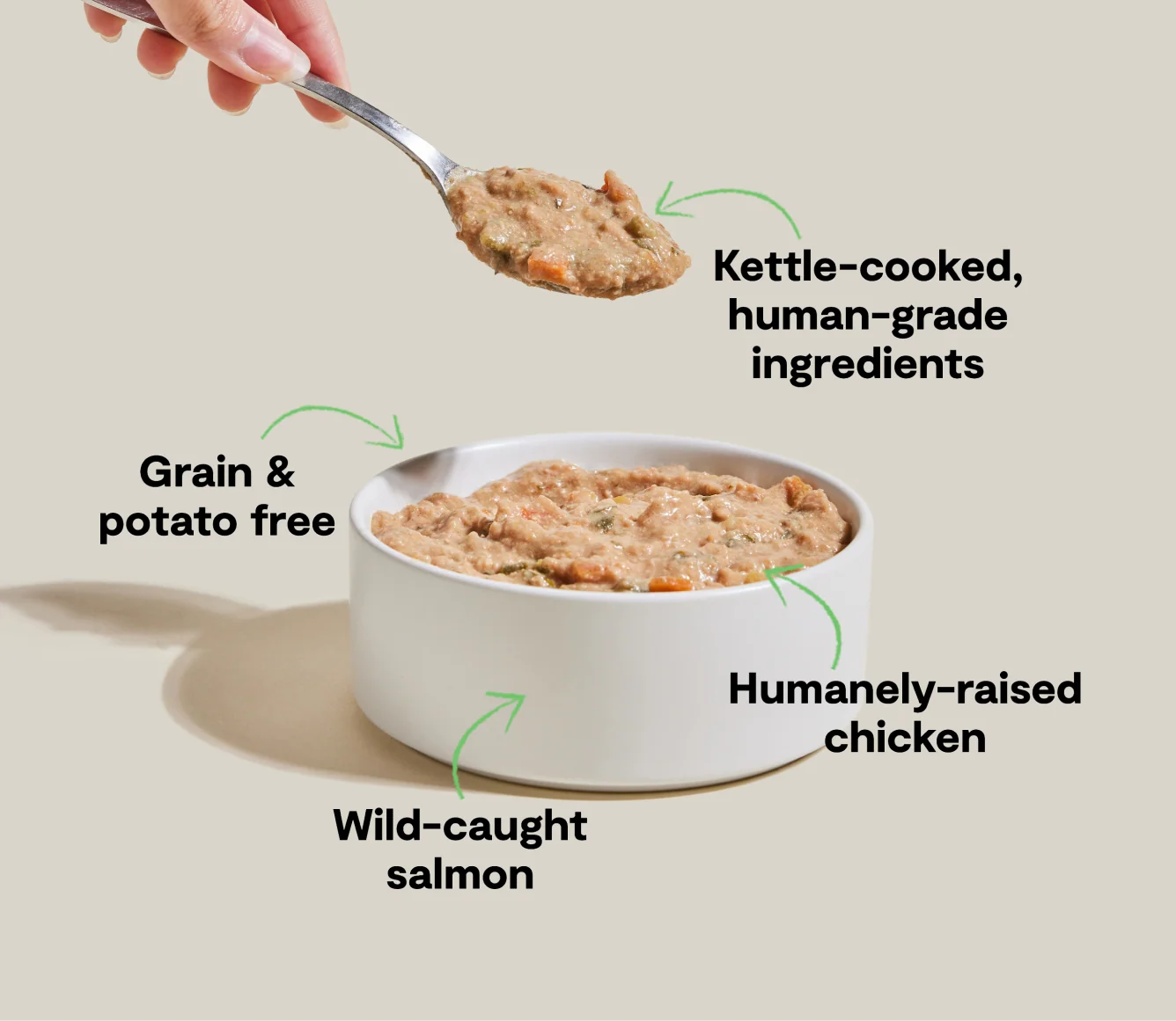 Chicken & Salmon Rustic Stew Wet Dog Food for Dogs