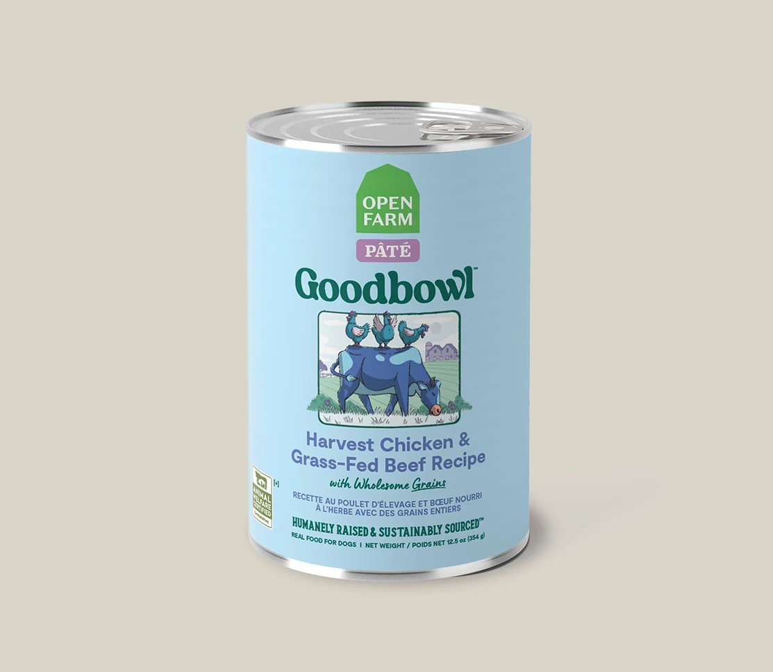 Pack varietà Goodbowl per cani: 12 lattine di ricette pâté