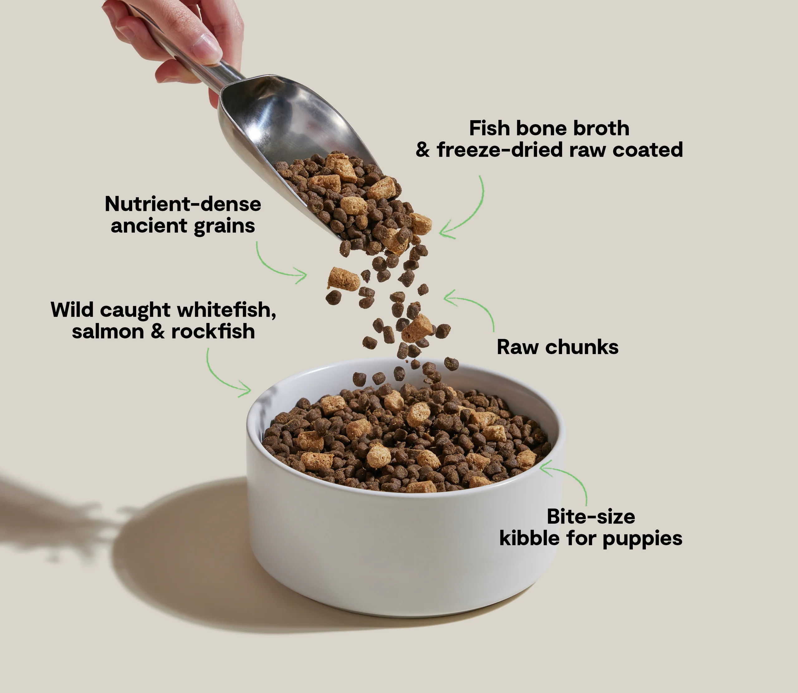 Sucha karma dla szczeniąt RawMix Ancient Grains z łososiem i rybą białą
