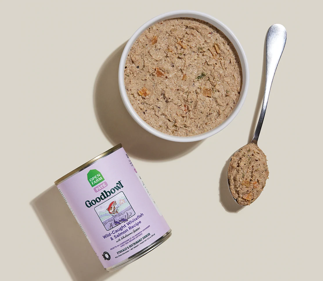 Goodbowl™ Wild-Caught Whitefish & Salmon Pâté Tahıllı Islak Köpek Maması