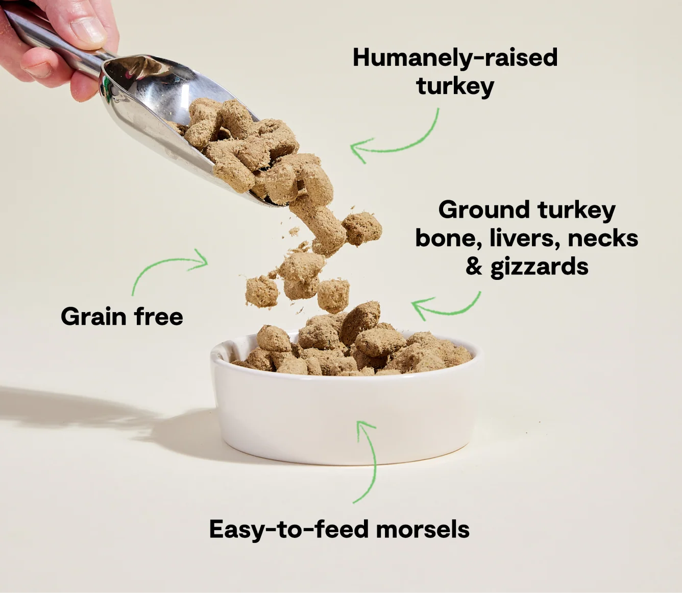 Homestead Turkey Freeze Dried Raw Morsels for Dogs, Single Protein