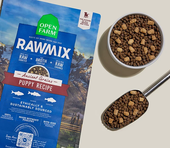 Sucha karma dla szczeniąt RawMix Ancient Grains z łososiem i rybą białą