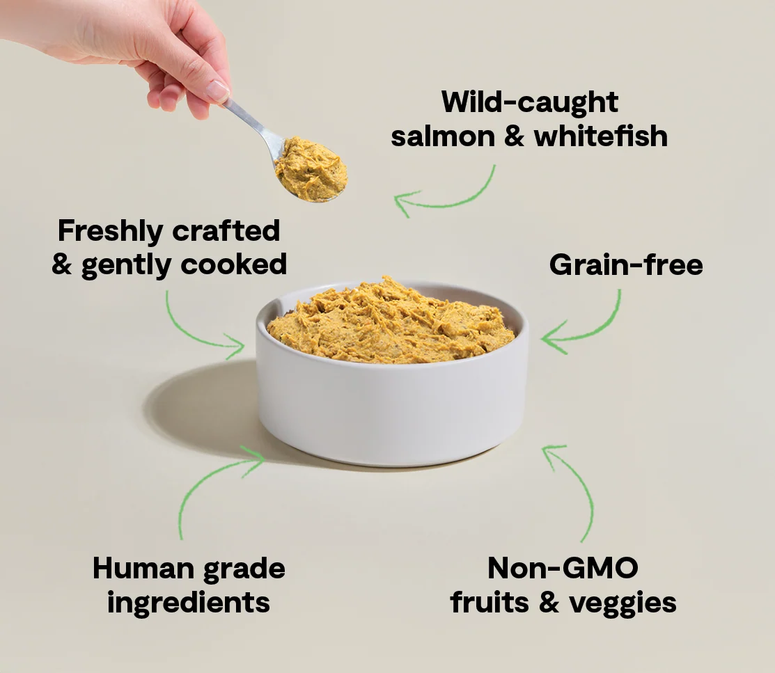 Friskfremstillet Vildfanget Fisk Hundefoder med Ikke-GMO Superfoods
