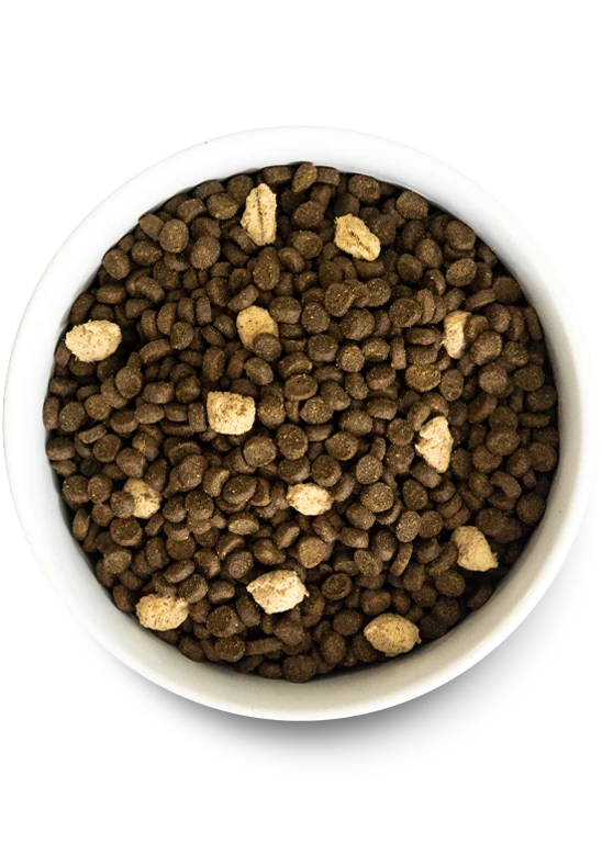 Zestaw Feline RawMix Plus: trio karm dla kotów z kurczakiem i indykiem
