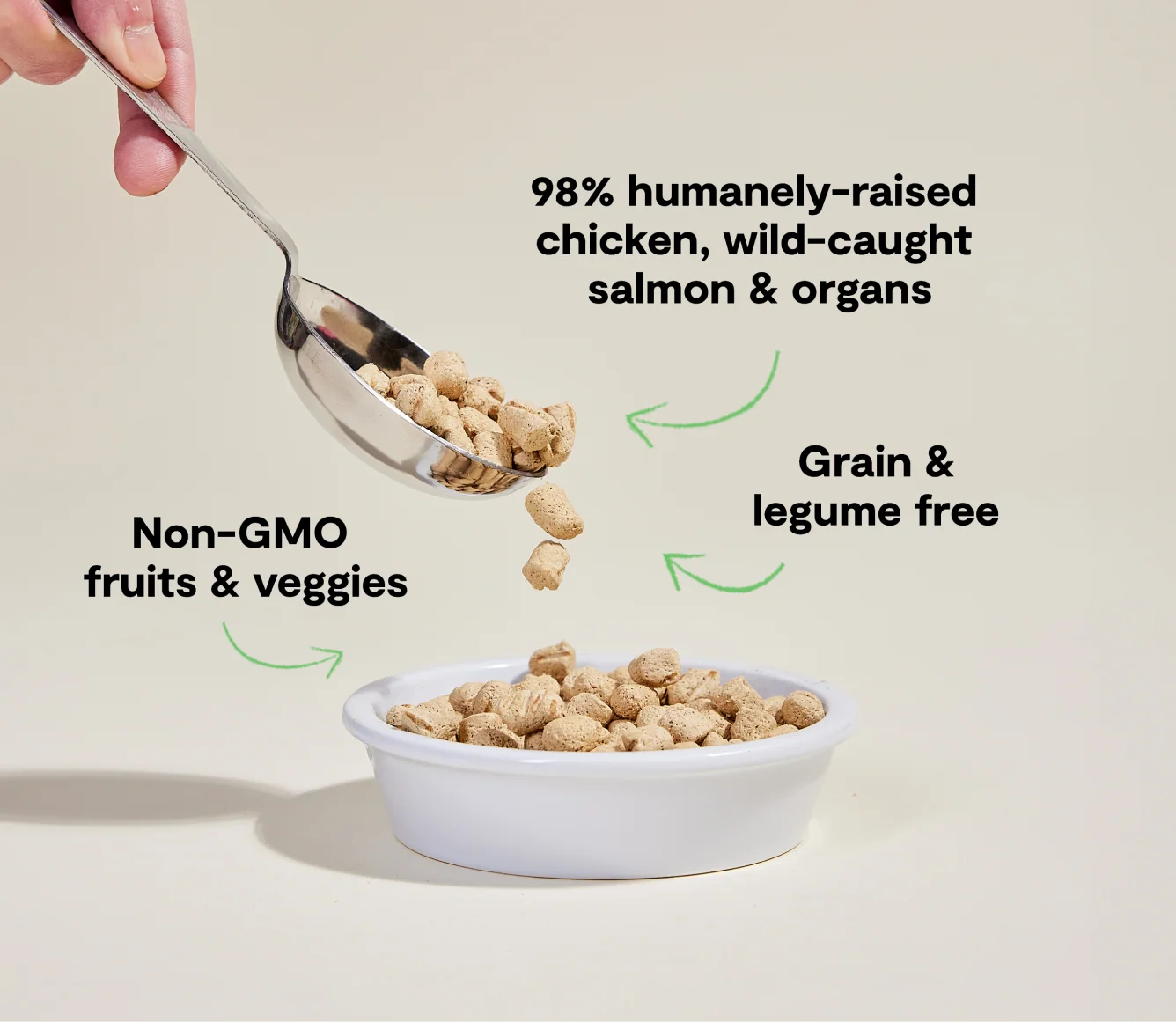 Chicken and Salmon Freeze Dried Morsels for Cats, Raw-Inspired Meal
